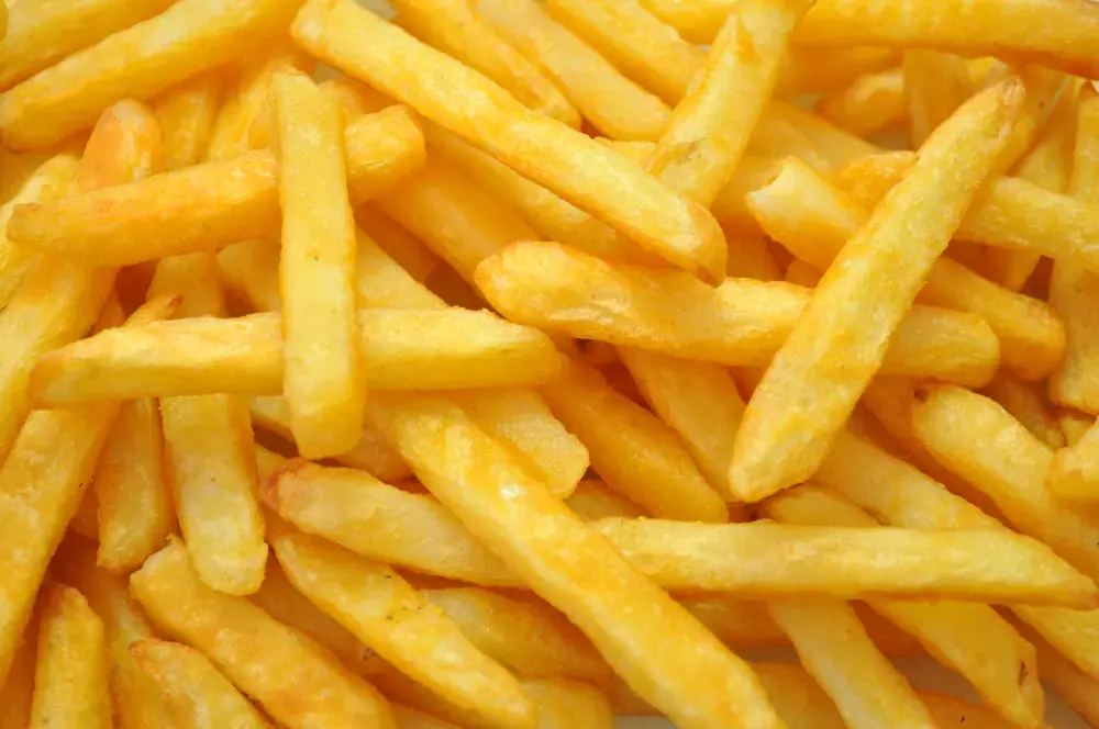 Choisir sa friteuse professionnelle