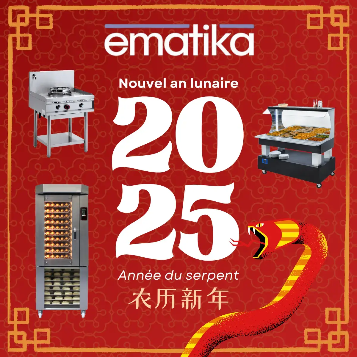 Nouvel an lunaire equipements pros ematika